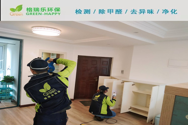 武汉除甲醛案例-祥鑫天娇城产品实拍图