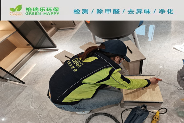 武汉除甲醛案例-水里仙新房室内空气治理产品实拍图