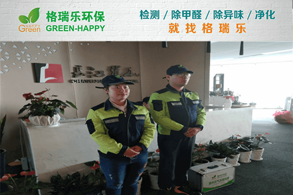 甲醛超标怎么办？武汉除甲醛公司排名TOP6格瑞乐环保：现场实拍告诉你答案！