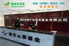 <b>湖北宏泰基金甲醛检测与治理-格瑞乐环保</b>