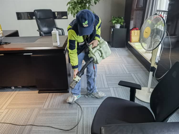 东西湖教育机构除甲醛！选格瑞乐