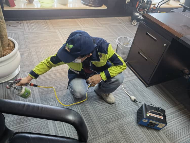 武汉除甲醛，选格瑞乐没得错！12年经验+10年质保