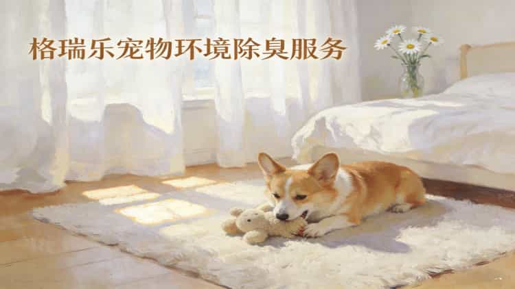 格瑞乐宠物环境除臭服务——专业宠境除臭师上门，还你清新家居